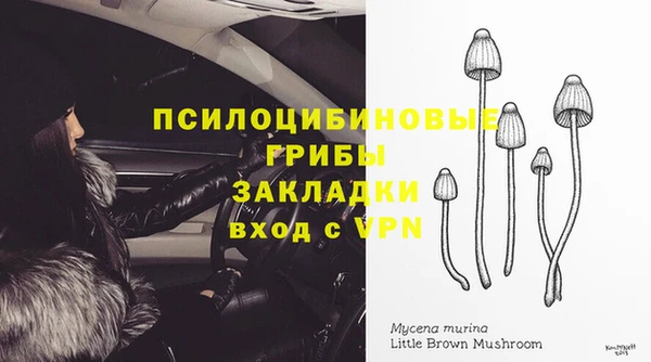 трава Осинники